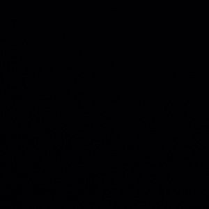 Meet your Posher, Wesley